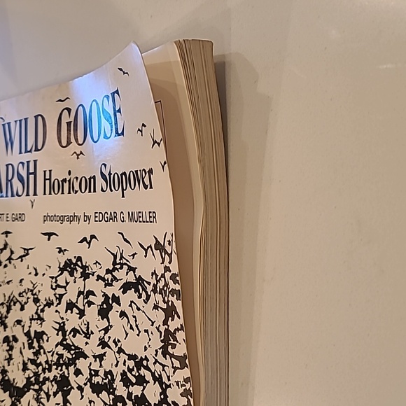 Wild Goose Marsh Horicon Stopover by Robert E Gard photo by Edgar G Mueller - Picture 6 of 12